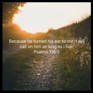 Meet your Posher, Dustin